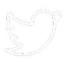 Twitter/X