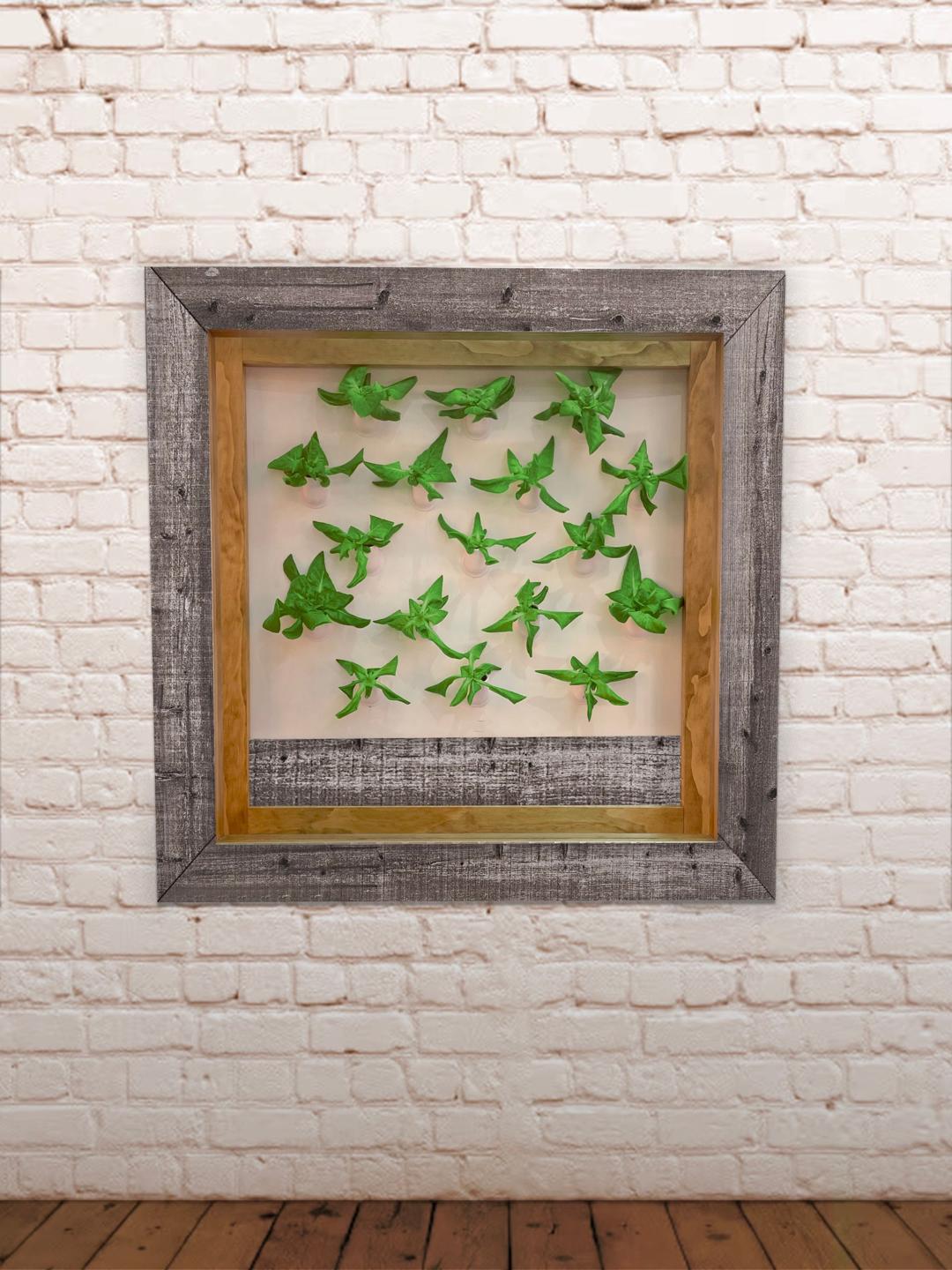 redible frame that has dark brown exteriors and green plants inside