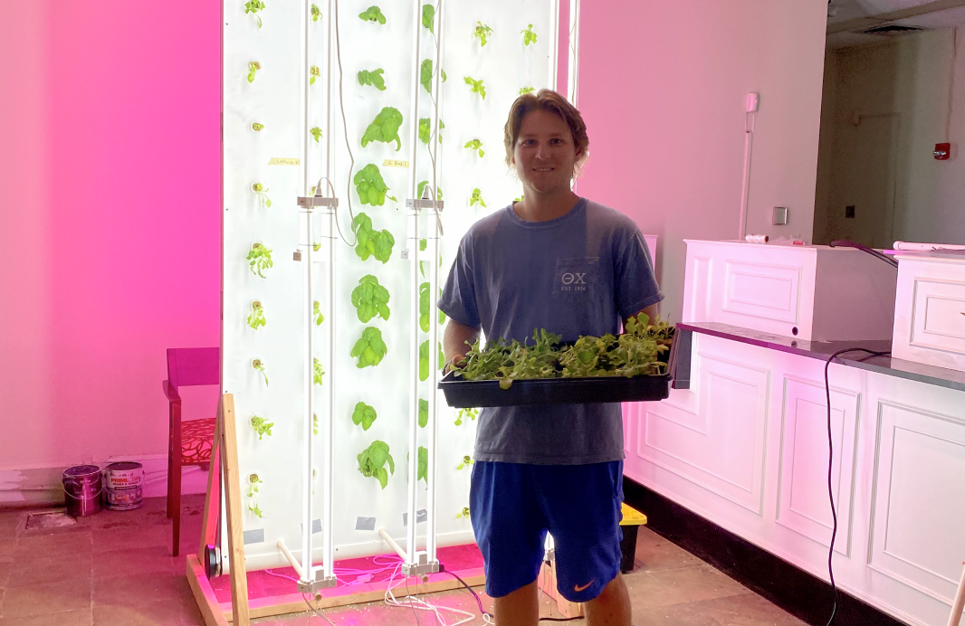 person holding plants in a tray in front of a redible wall