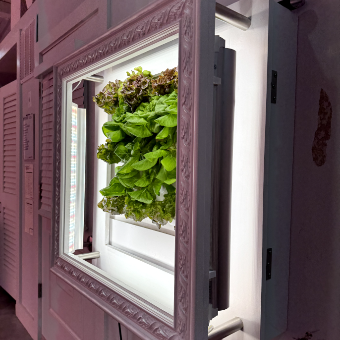 product with customised frame and plants growing inside, in front of a white, illuminated background